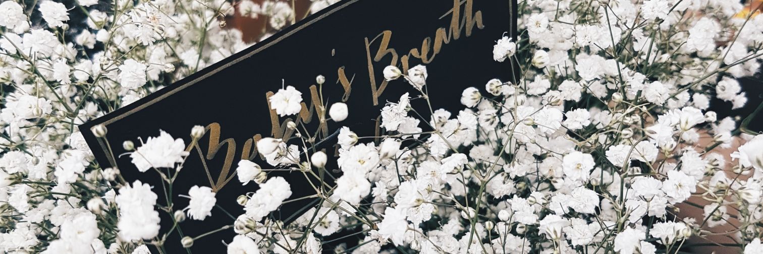 Jia Lin banner