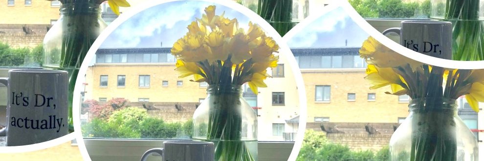 Paula (writing SF but really slowly) banner