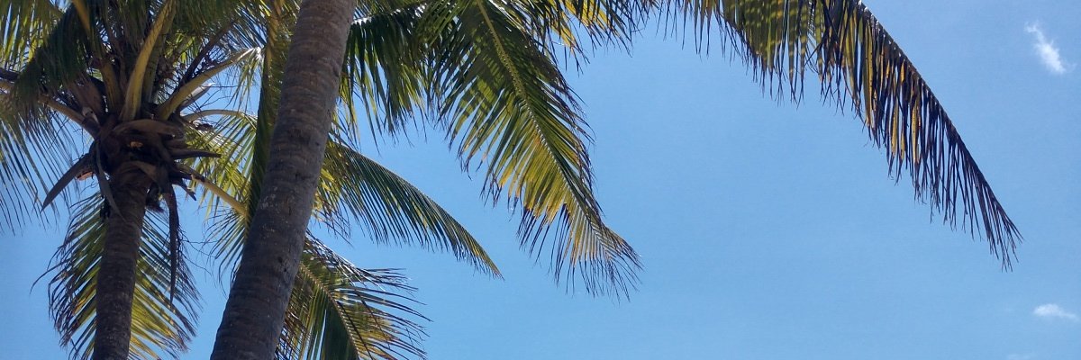 plgunther's profile banner image