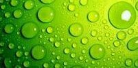 Marga Dietl banner