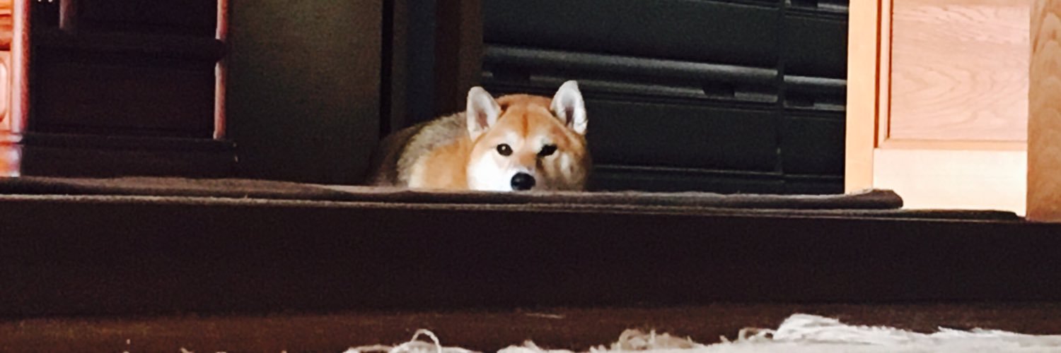 _chanriiiii's profile banner image