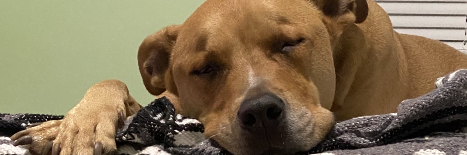 picklespets_'s profile banner image