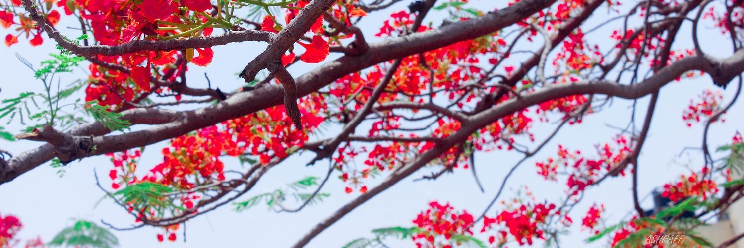 yusufiggi's profile banner image
