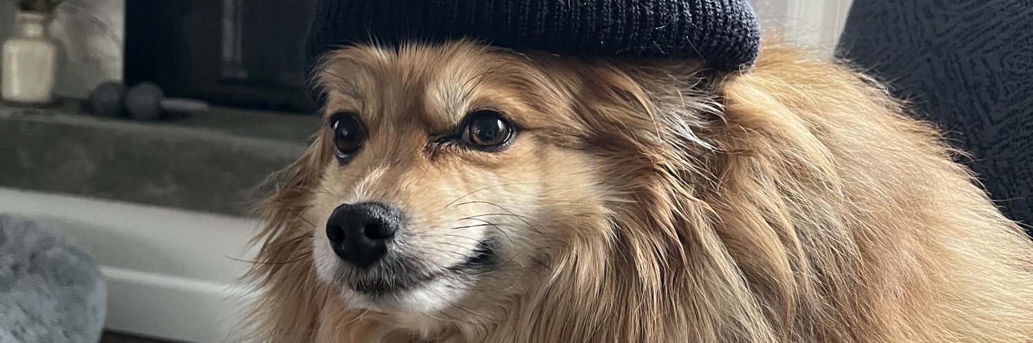MMaxfeldt's profile banner image