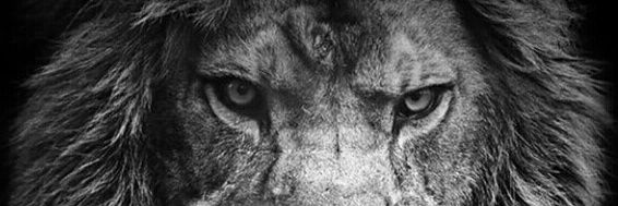 DEIVITATTOOS's profile banner image