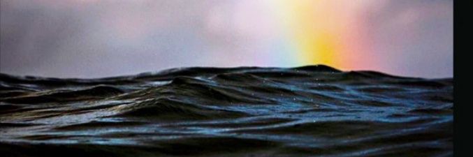 Lu Valen✨ banner