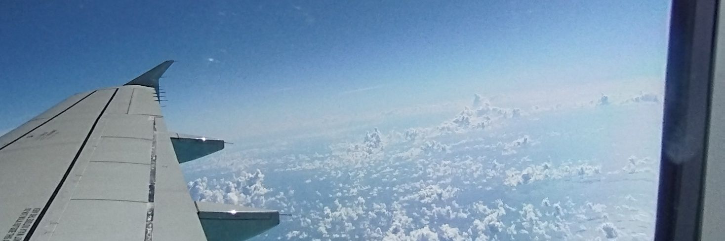 winnieestrella_'s profile banner image