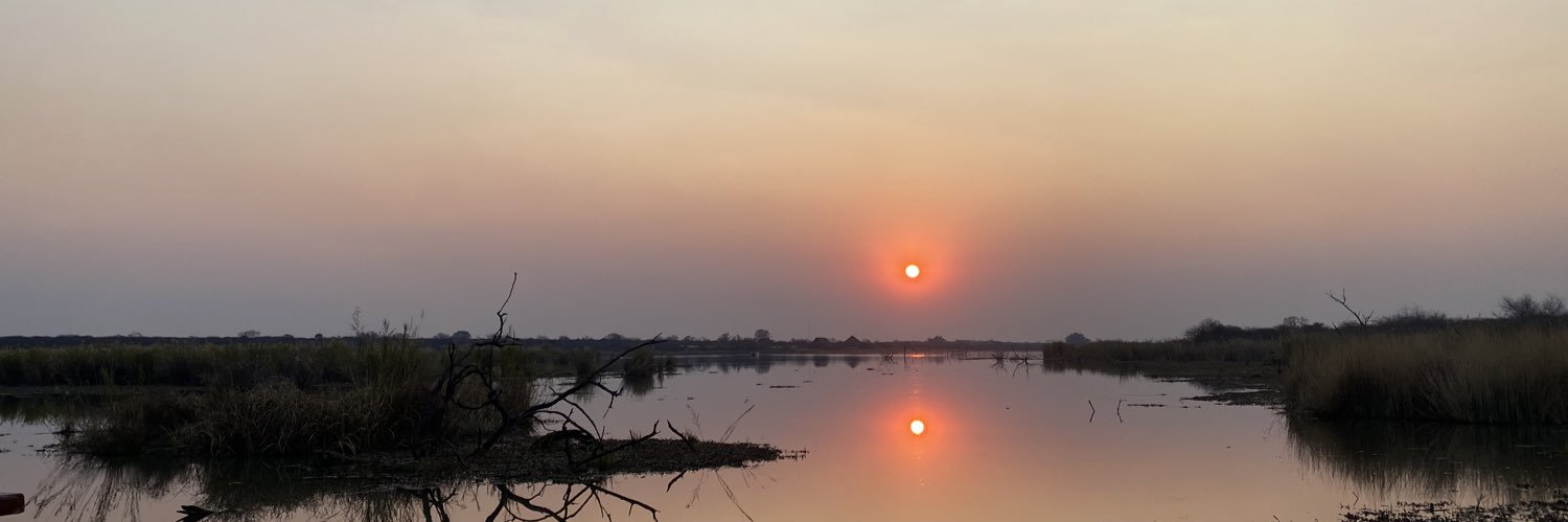 Arnold de Wit banner