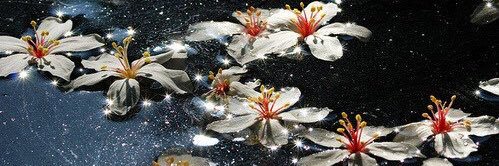 user164095100's profile banner image
