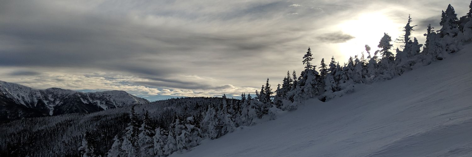 AllyDurks's profile banner image