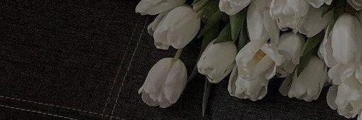 cvuplle's profile banner image
