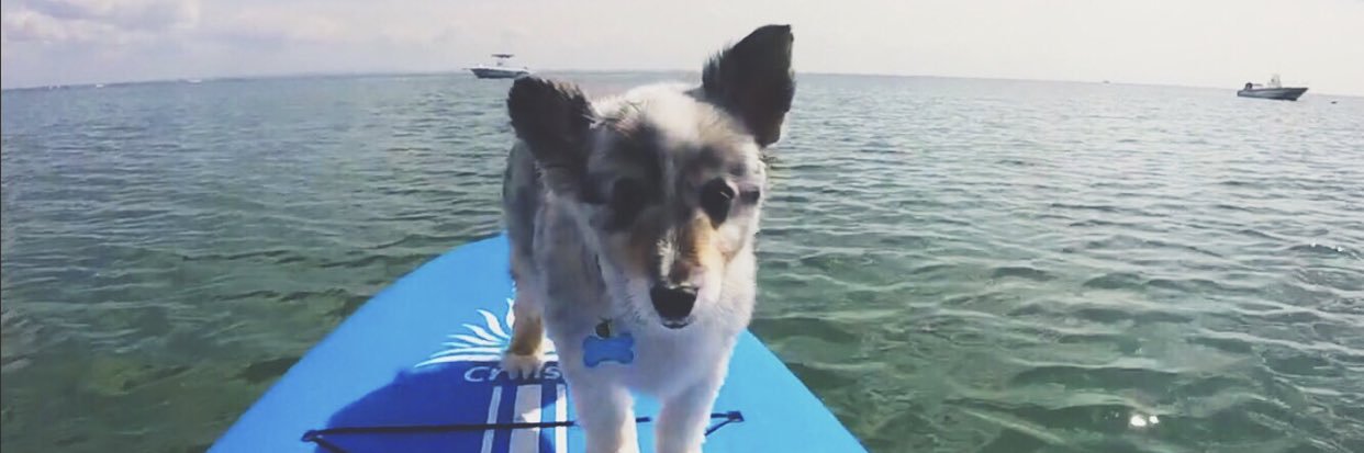 marthajohnsonn's profile banner image
