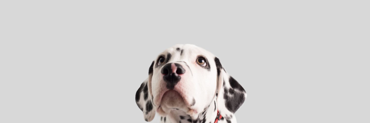 ayyfowle's profile banner image