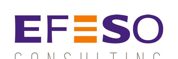 EFESO Consulting banner