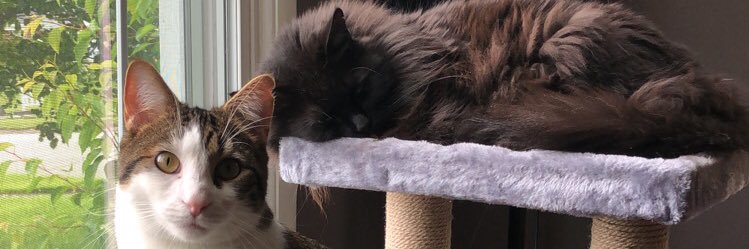 JamieKeys360's profile banner image