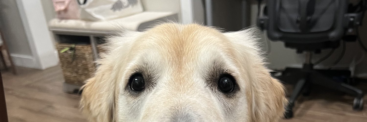 DrakeTyler14's profile banner image