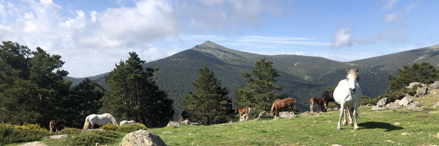 Mario Chavida banner