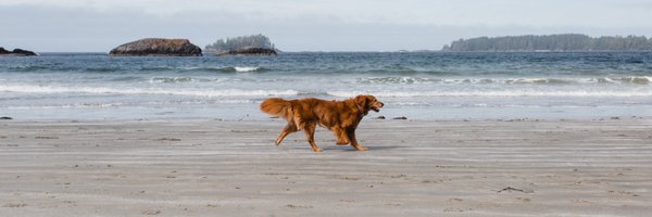 Emilylpickett Profile Banner