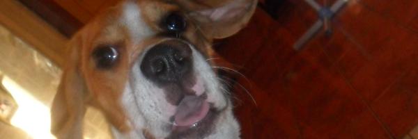 alexb89 Profile Banner