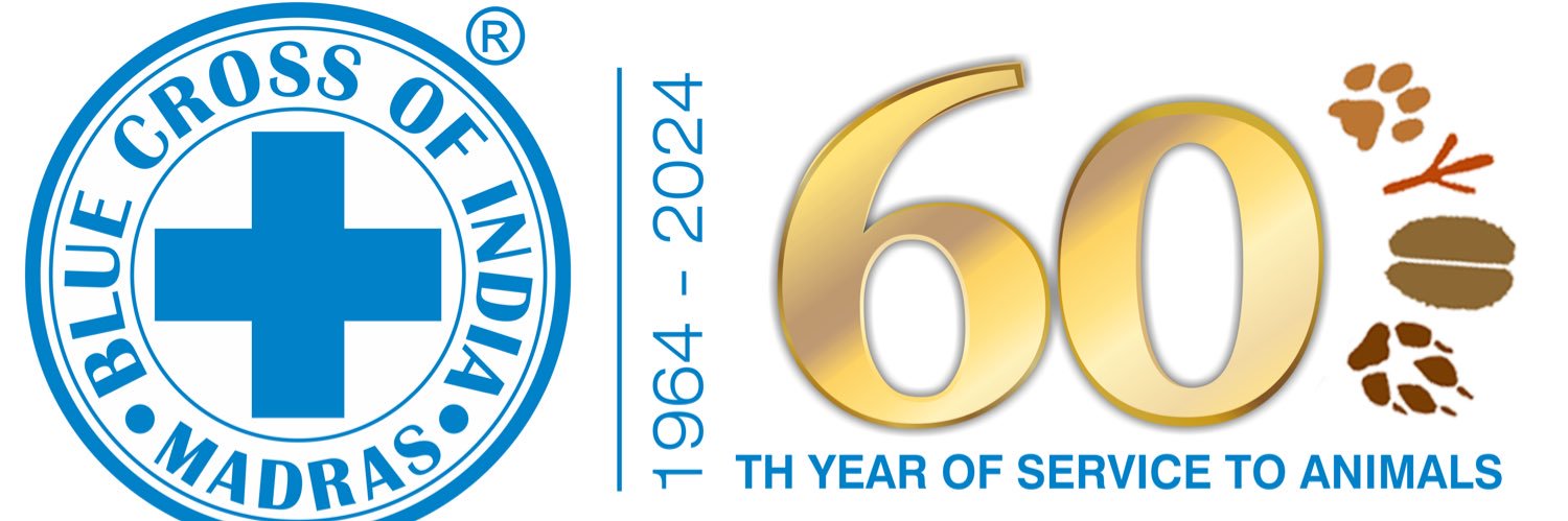 Blue Cross of India banner