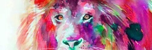 daffnucha's profile banner image