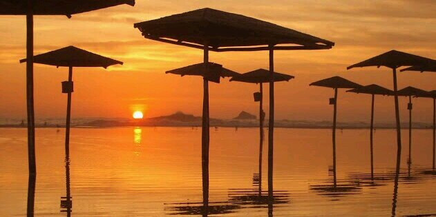 Invest&Freedom banner