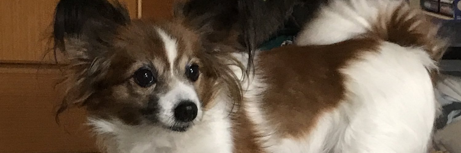 dearboysnext's profile banner image