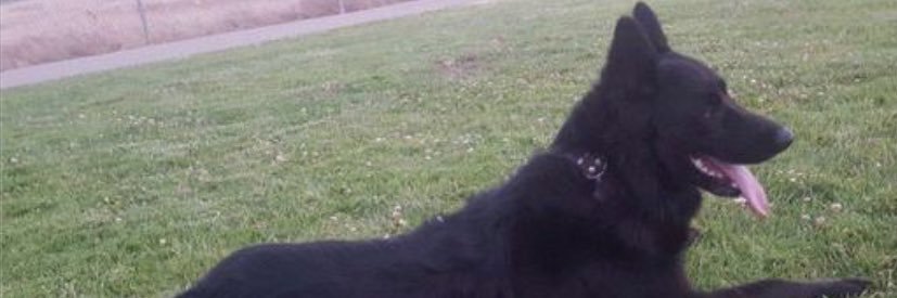 BalderamaJoseph's profile banner image