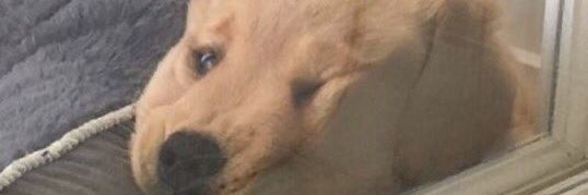 sebxsu's profile banner image