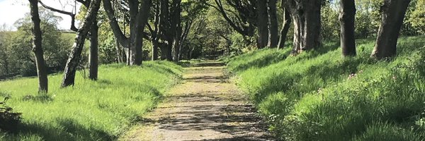 mandynetwork Profile Banner