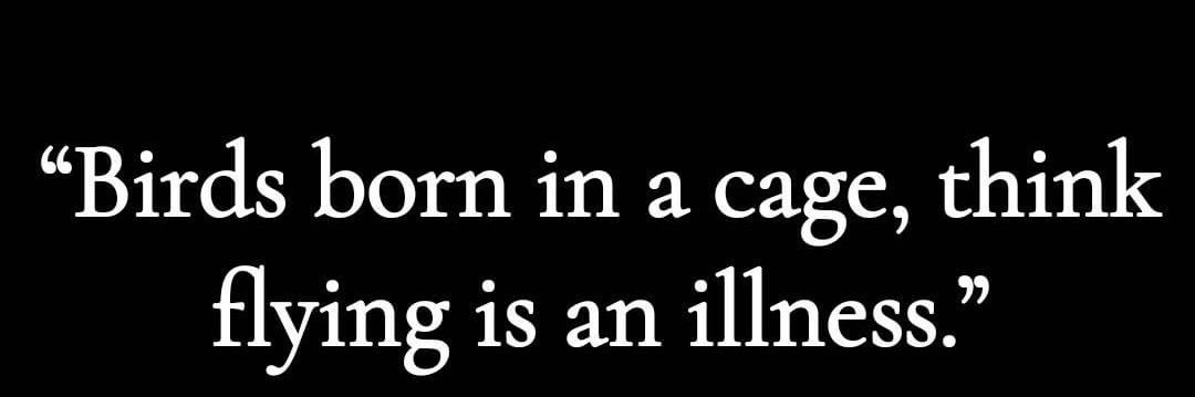 Abdou Boutaleb banner