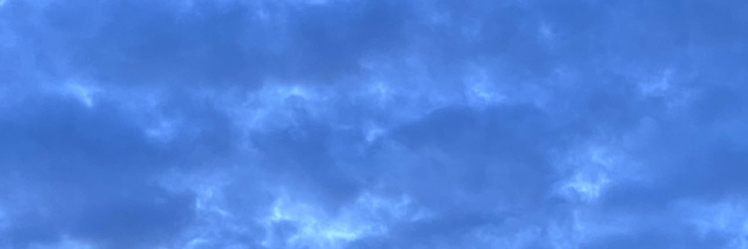 shaminiem's profile banner image