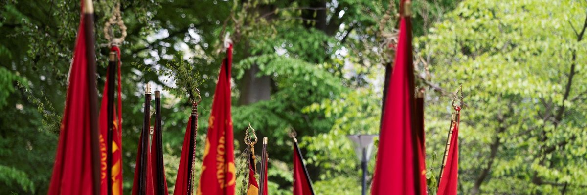 Luxa🌹🇩🇰🔆 banner