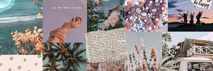 𝑩𝒆𝒂𝒕𝒓𝒊𝒄𝒆 ʚଓ 📖 banner