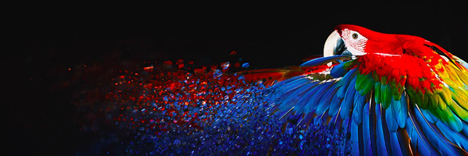 matsetofficial's profile banner image
