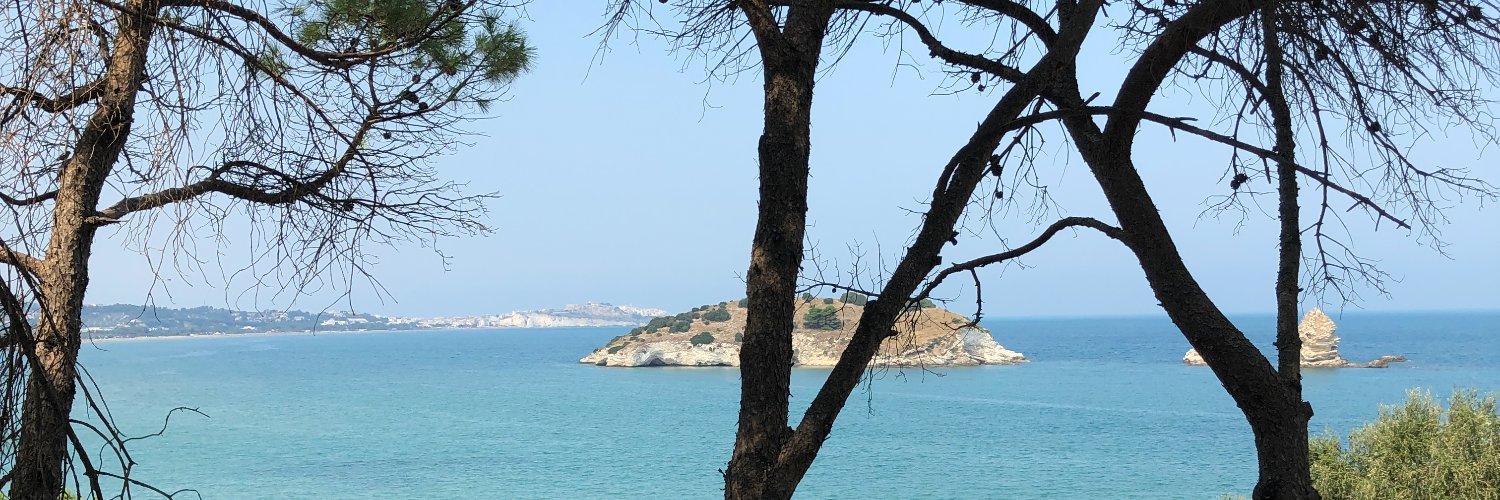 MassimoMinarini's profile banner image