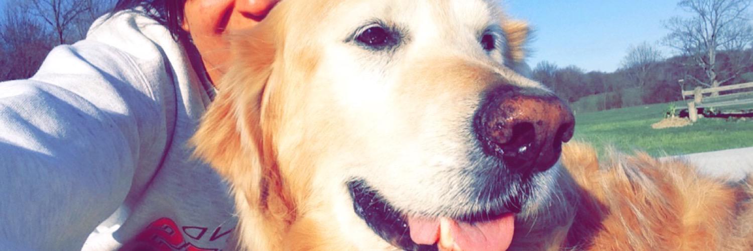 RosieMessner's profile banner image