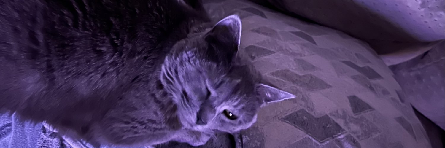 IrishJaybird's profile banner image