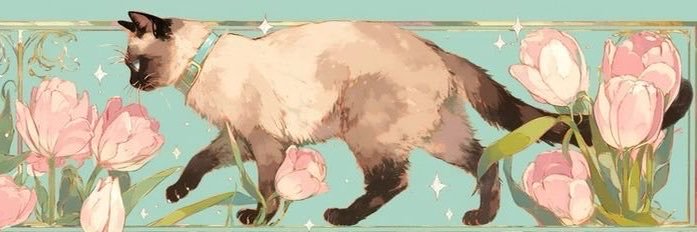 AmniAliasak's profile banner image
