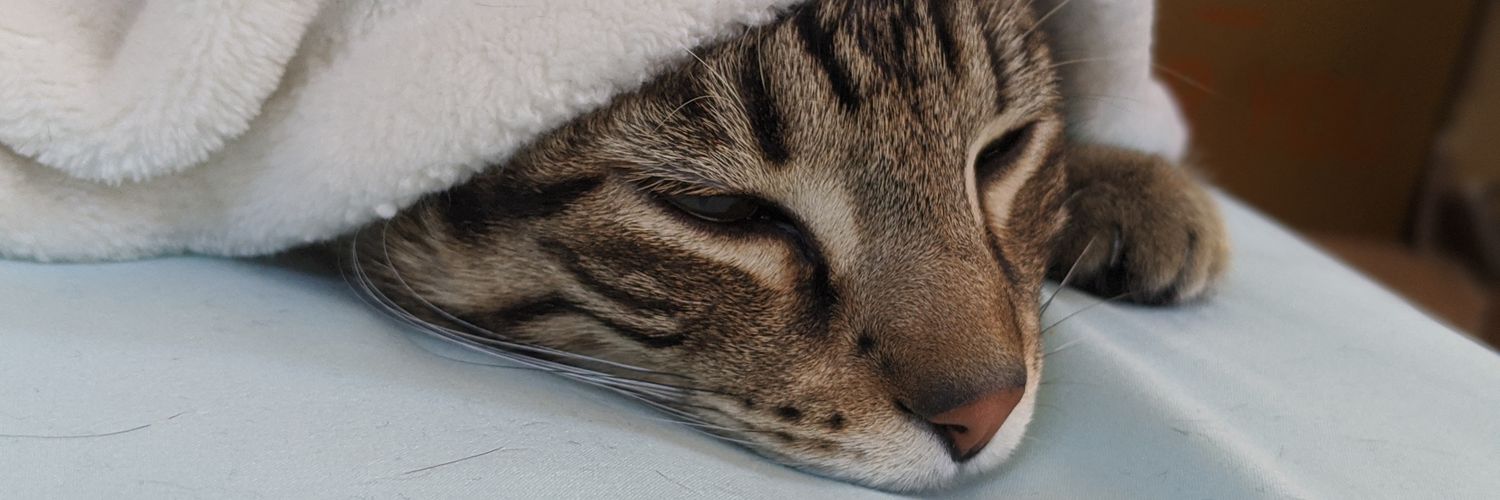 oosername's profile banner image