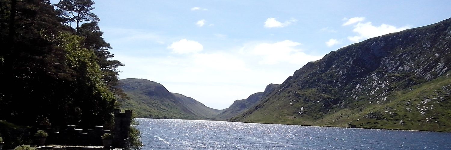 Tony McGettigan banner