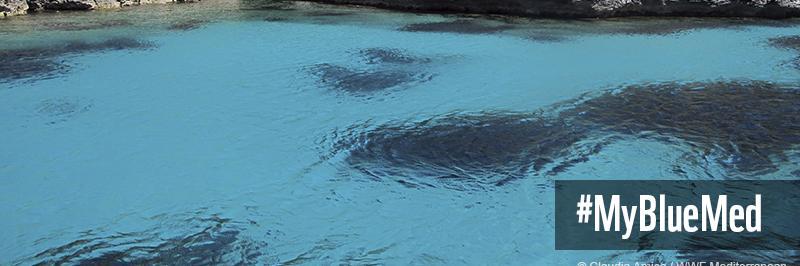 WWF Mediterranean banner