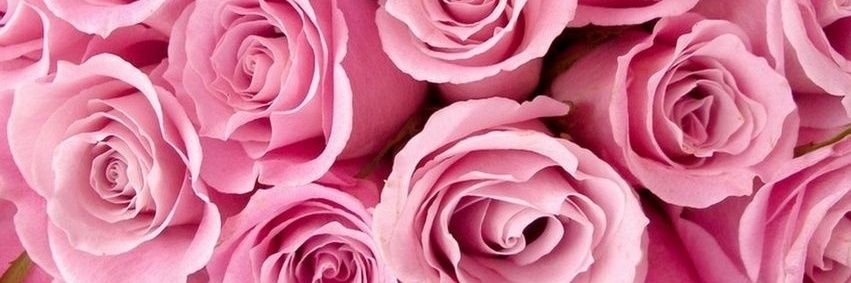 prfsantana's profile banner image