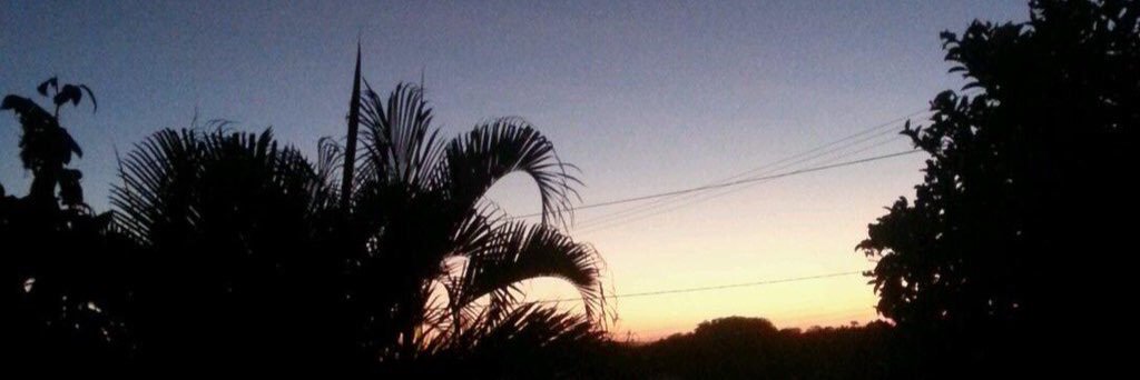 tany0023's profile banner image