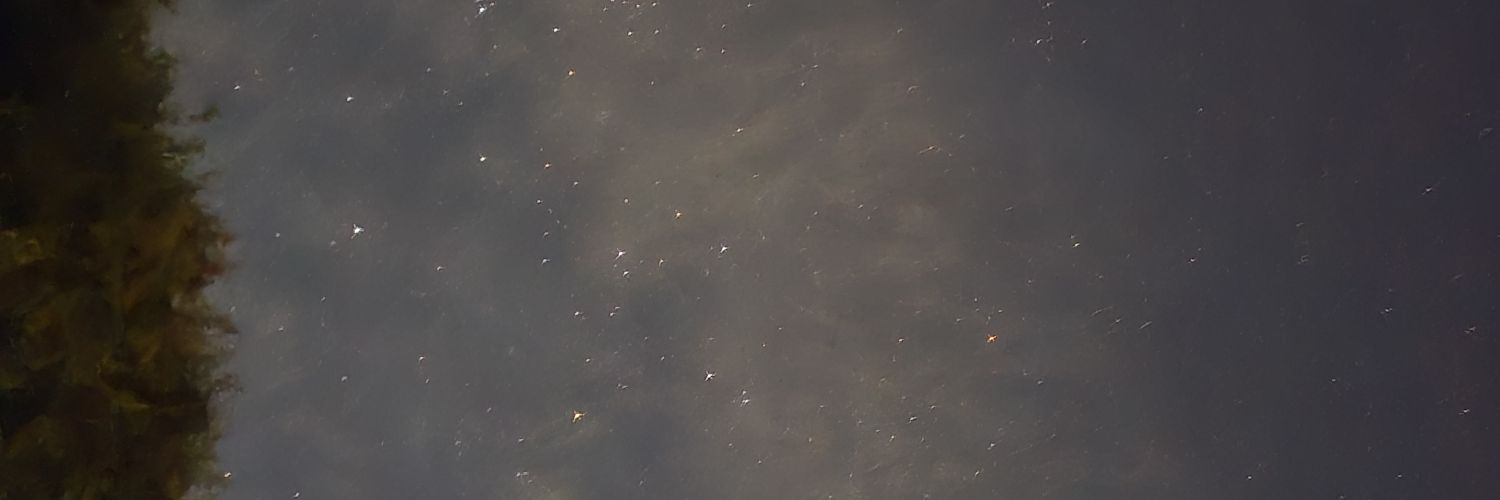 GrubergerIsaak's profile banner image