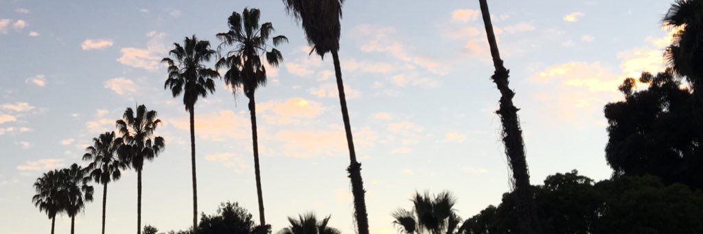 its4mberhus's profile banner image