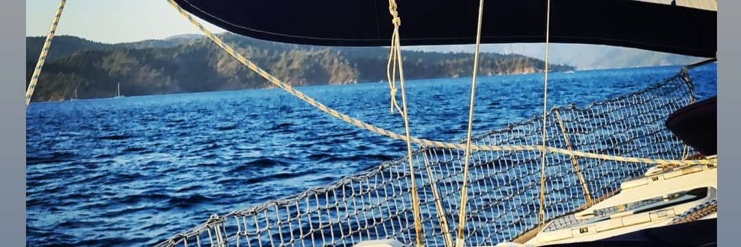 stoplosstartwin banner