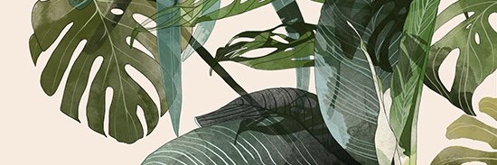 squaesh's profile banner image