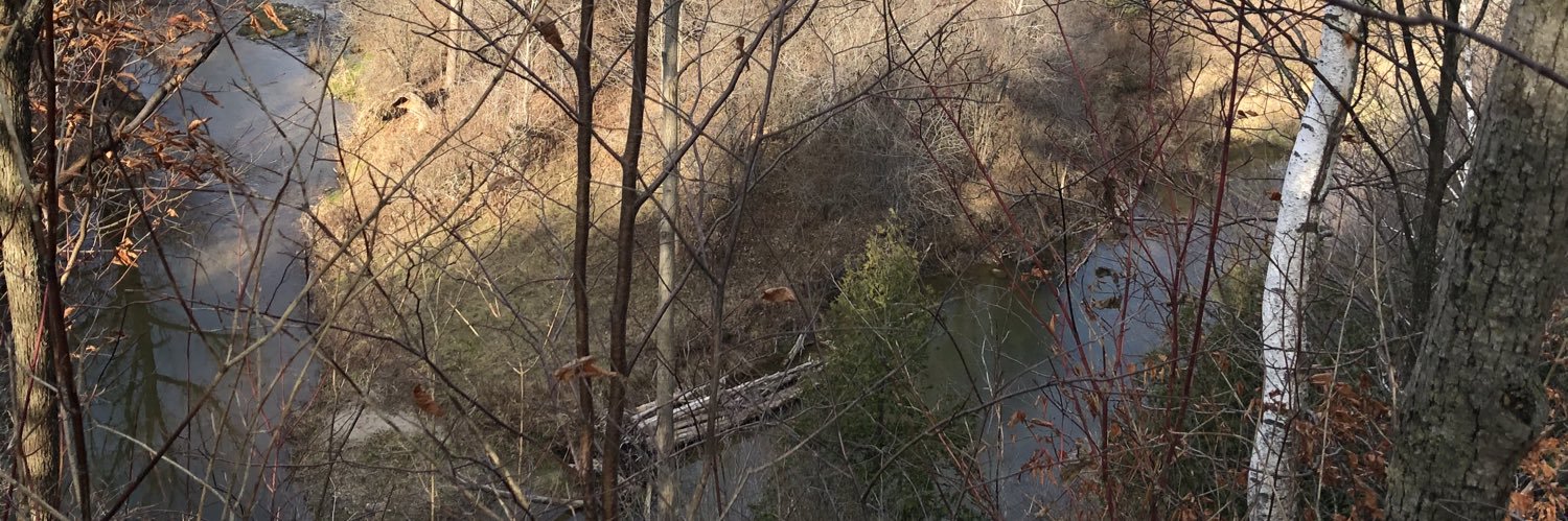 medra 🇵🇸 banner