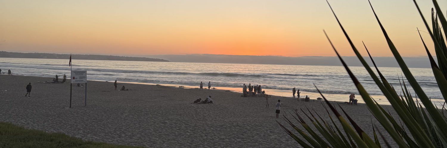 Gabriel Zaliasnik banner